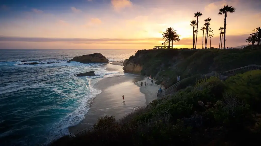 Sunset over a Laguna Beach cove with palms along the bluff Sunset over a Laguna Beach cove with palms along the bluff