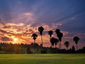 Aliso Viejo Real Estate