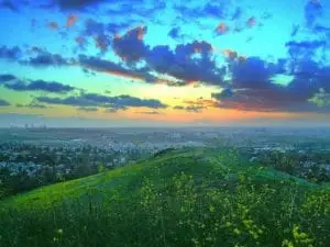 Irvine Real Estate
