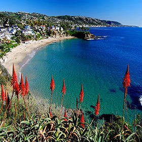 Laguna Beach