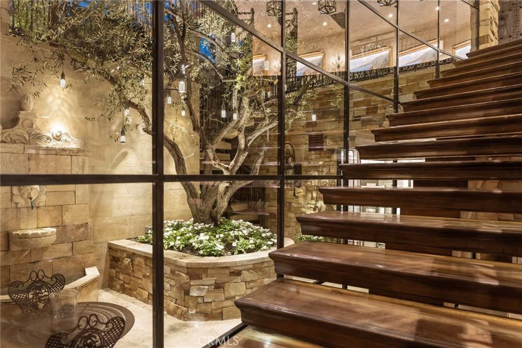 Olive tree in a planted court behind walls of glass at 15 Montage Way, Laguna Beach Olive tree in a planted court behind walls of glass at 15 Montage Way, Laguna Beach