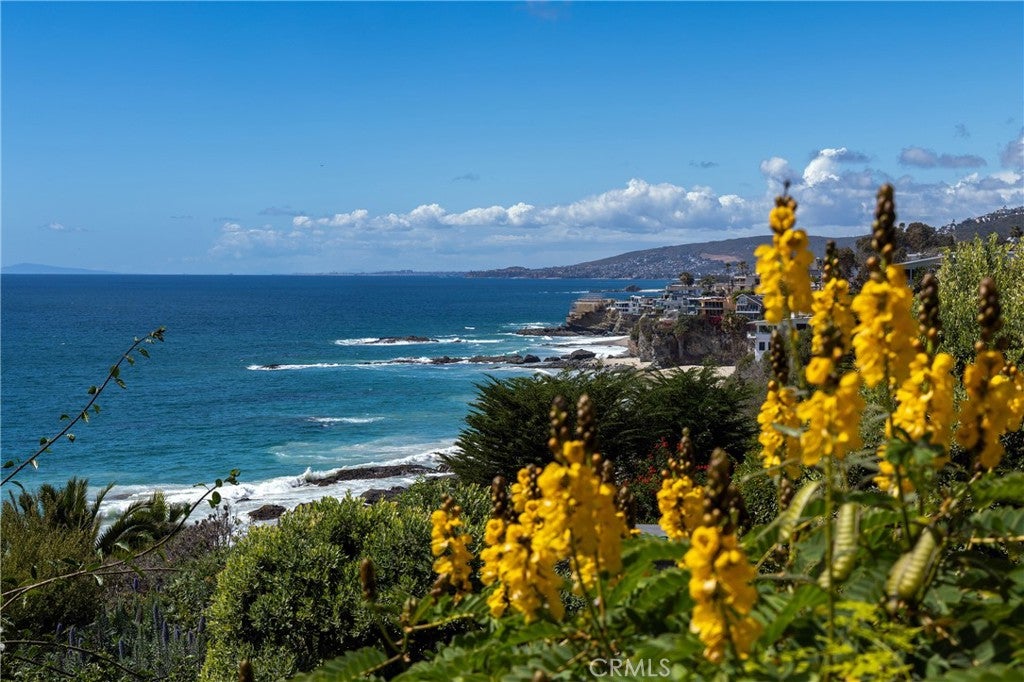 Ocean view from the bluff over flowering plantings at 32229 Coast Hwy, Laguna Beach Ocean view from the bluff over flowering plantings at 32229 Coast Hwy, Laguna Beach